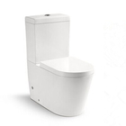 SanitaryWare Ceramic WC with 10cm/4inch diameter outlet Bathroom Washdown Two-piece Toilet