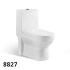 India Middle East Bathroom Ceramic 100/230/250/300mm Roughing-in Washdown One-piece Toilet