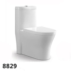 Bathroom Ceramic S-trap 200/250/300mm Roughing-in Washdown One-piece Toilet P-trap 180mm