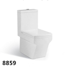 Hot Sale Bathroom Ceramic Toilet Floor Mounted S-trap and P-trap Washdown One-piece Toilet