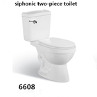 Bathroom Floor Mounted S-trap 300mm Roughing-in Washdown Two-piece Toilet