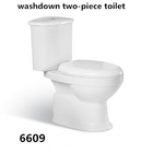 Bathroom Floor Mounted S-trap 220mm Roughing-in Washdown Two-piece Toilet