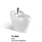 Floor Mounted Bidets for Females Fixing to Wall With Back Bathroom Ceramic Bidet for Woman