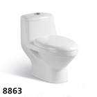 Bathroom Floor Mounted 4inches outlet 250300mm Roughing-in Washdown One-piece Toilet