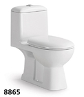 Hot Sale Bathroom Floor Mounted Water Closet S-trap and P-trap Washdown One-piece Toilet